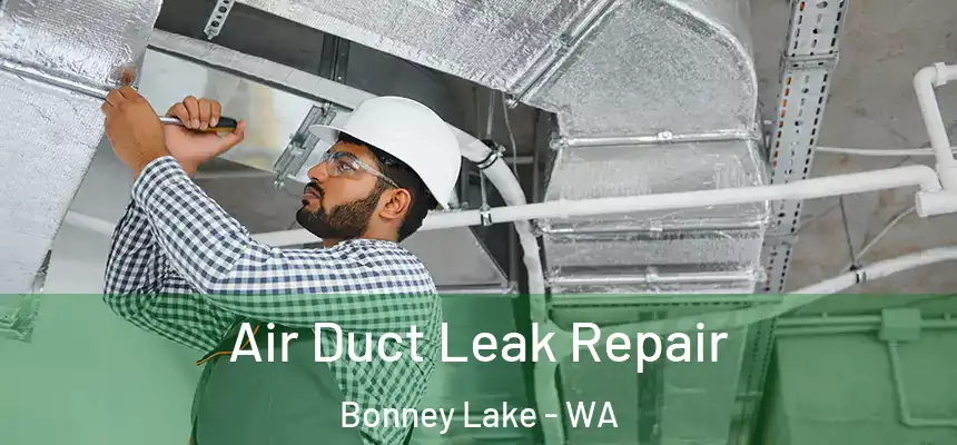  Air Duct Leak Repair Bonney Lake - WA