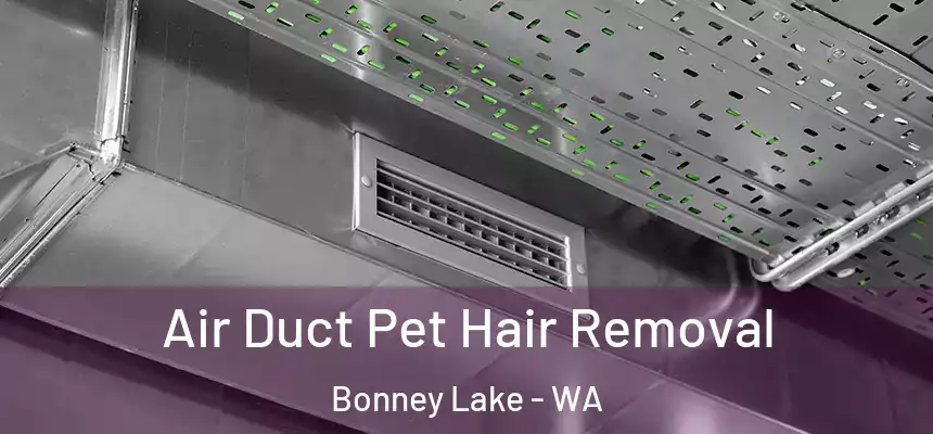  Air Duct Pet Hair Removal Bonney Lake - WA