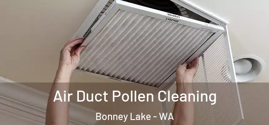  Air Duct Pollen Cleaning Bonney Lake - WA