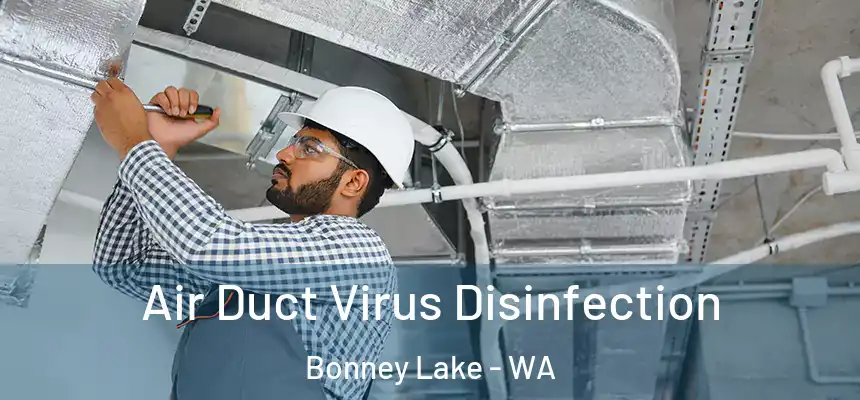  Air Duct Virus Disinfection Bonney Lake - WA