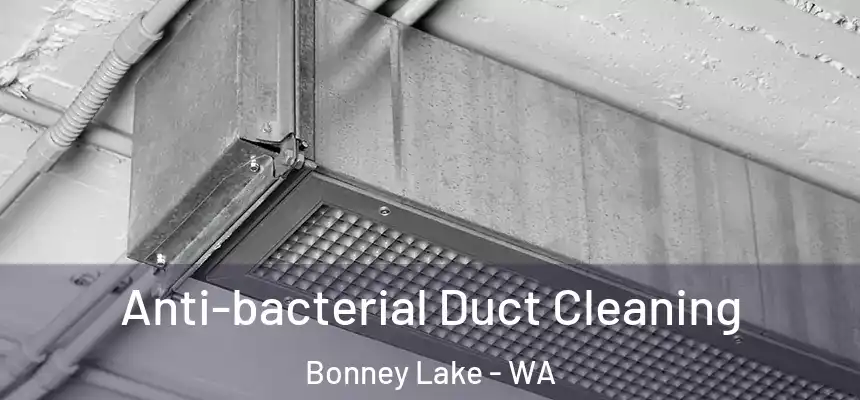  Anti-bacterial Duct Cleaning Bonney Lake - WA