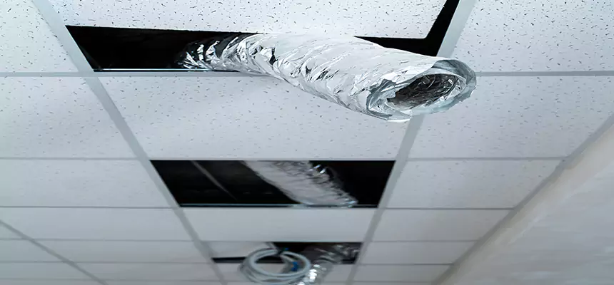 Our Air Duct Pet Hair Removal Services in Bonney Lake, WA