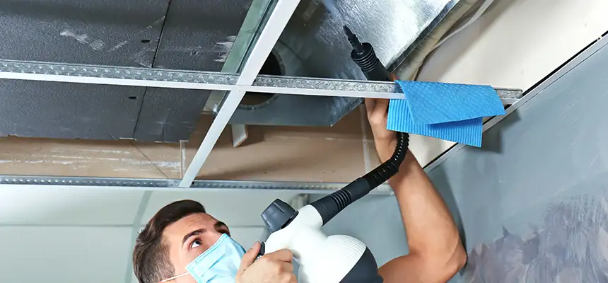 Our Air Duct Rodent Removal Services in Bonney Lake, WA