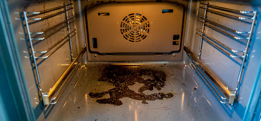 Our Dryer Vent Mold Cleaning Services in Bonney Lake, WA