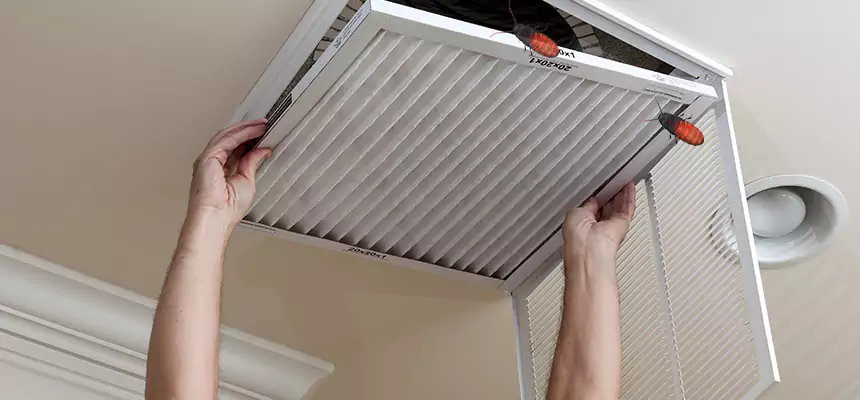 Our Insect Removal from Air Ducts Services in Bonney Lake, WA