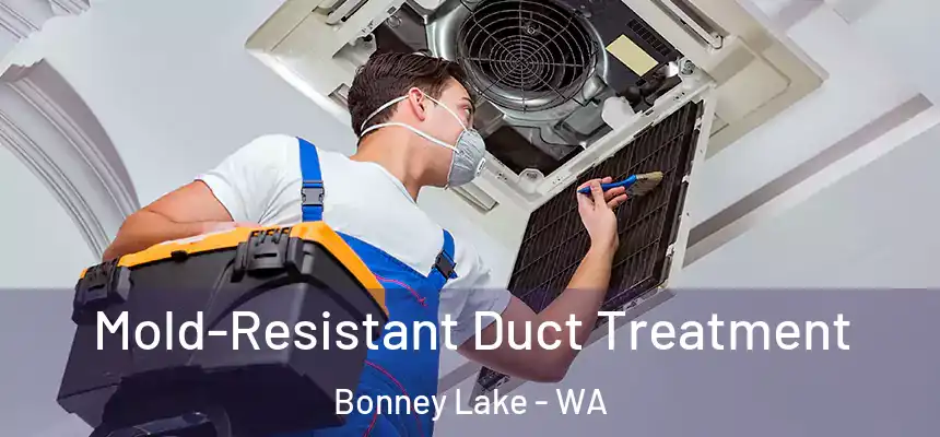  Mold-Resistant Duct Treatment Bonney Lake - WA