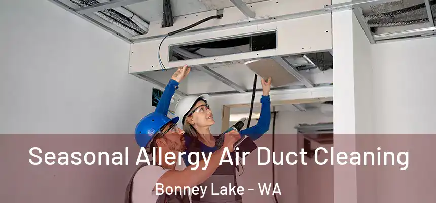  Seasonal Allergy Air Duct Cleaning Bonney Lake - WA