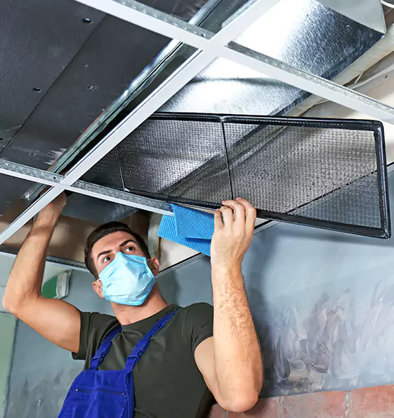About Air Duct Bacteria Removal in Bonney Lake