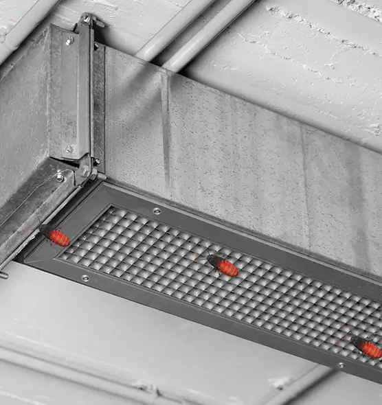 About Air Duct Cockroach Removal in Bonney Lake, WA