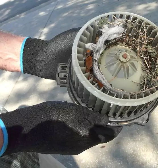 About Air Duct Rat Removal in Bonney Lake, WA