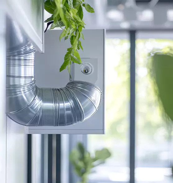 Professional Eco-Friendly Duct Cleaning Services in Bonney Lake, WA