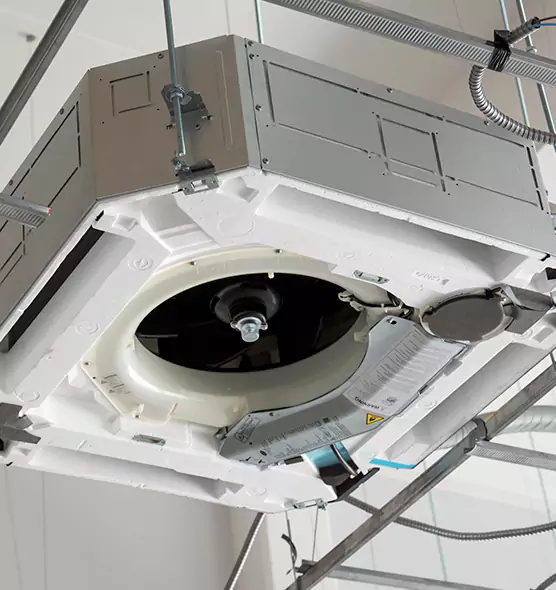 Professional Roof Vent Lint Removal Bonney Lake, WA