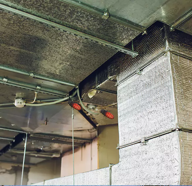 Why Homeowners & Businesses Trust Us in Bonney Lake, WA?