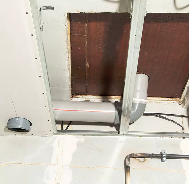 Why Homeowners & Businesses Trust Us in Bonney Lake, WA?