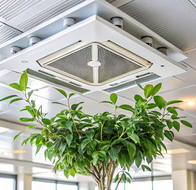 Why Homeowners & Businesses Trust Us in Bonney Lake, WA