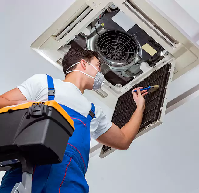 Why Homeowners & Businesses Trust Us in Bonney Lake, WA?