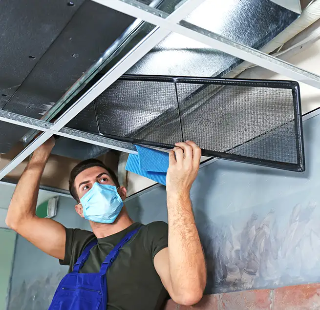 Why Homeowners & Businesses Trust Us in Bonney Lake, WA?