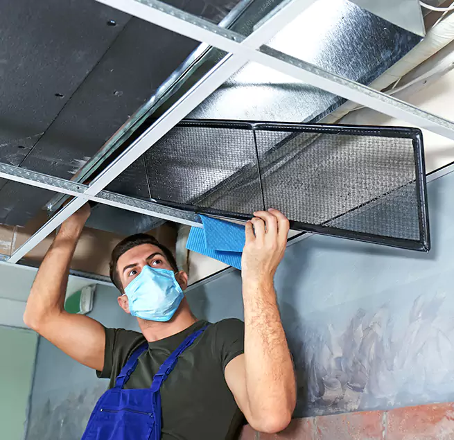 Why Homeowners & Businesses Trust Us in Bonney Lake, WA?